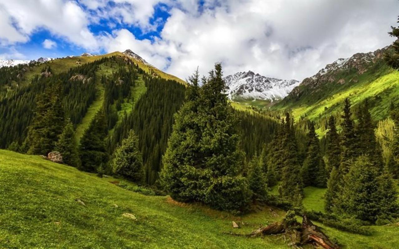 Алтын-Арашан, Путь На Оз,Ала-Куль Teploklyuchenka Exteriör bild